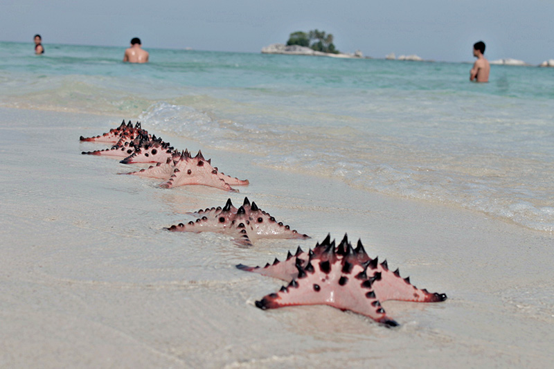 Paket Tour Belitung Keluarga 3D2N