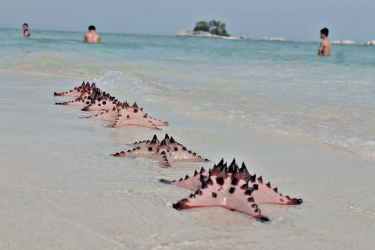 Paket Tour Belitung Keluarga 3D2N